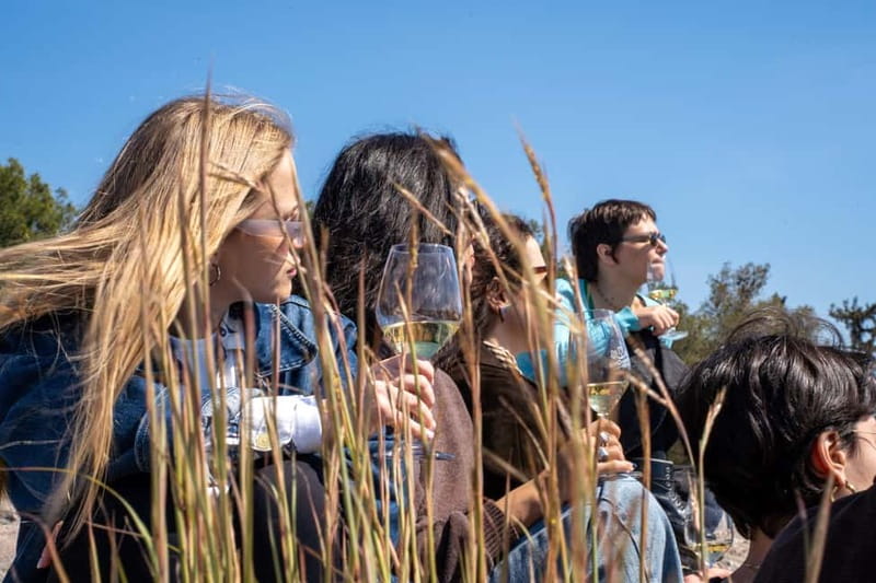 Athens: Greek Wine Tasting and Picnic on Philopappou Hill - Key Points