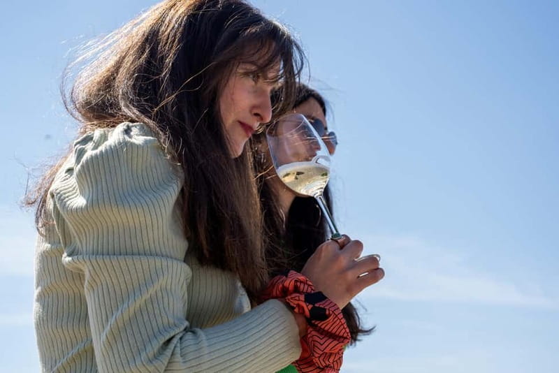 Athens: Greek Wine Tasting and Picnic on Philopappou Hill - Who Will Love It