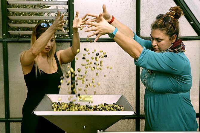 ATHENS OLIVE ESTATE - Olive Oil Workshop with Farm-to-Fork Lunch - Who Will Love This Tour?