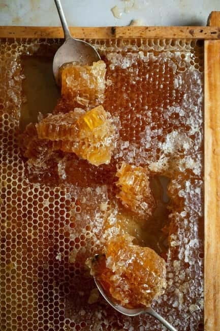 Athens: Premium Greek Honey Tasting - A Brief Look at the Experience