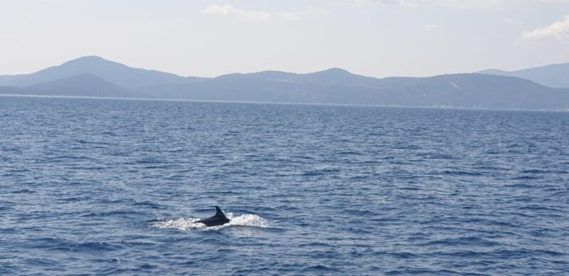 Athens Riviera Private Catamaran Cruise with Meal and Drinks - Key Points