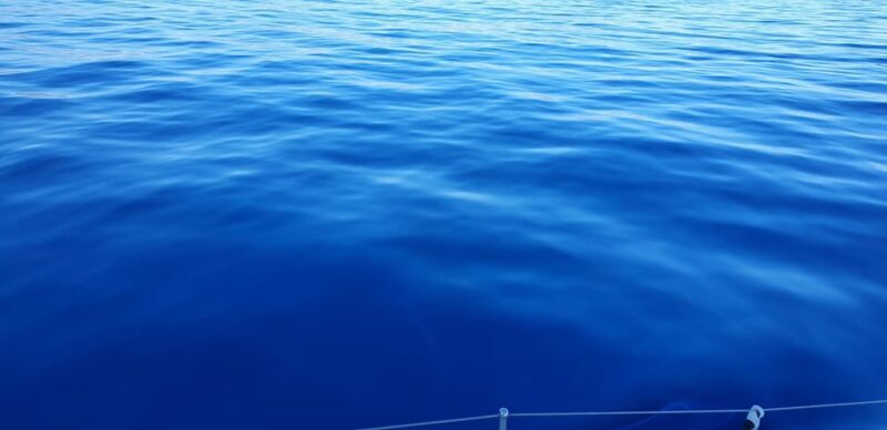 Athens Riviera Private Catamaran Cruise with Meal and Drinks - Frequently Asked Questions