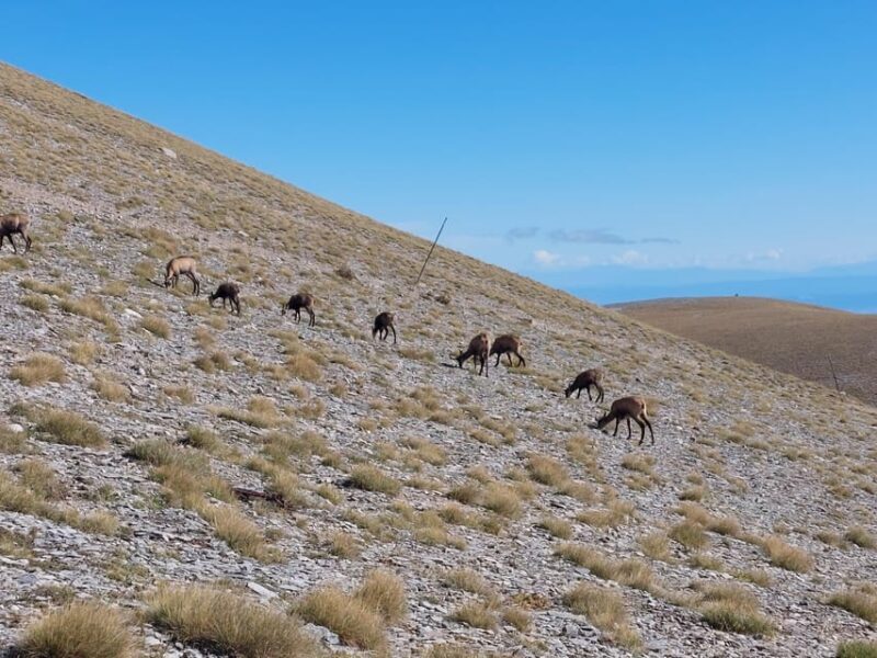 Athens to Mount Olympus: 2 days private tour - Who This Tour is Perfect For