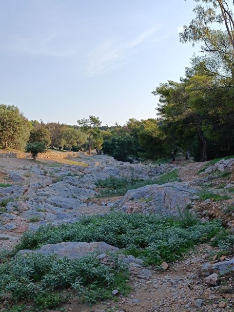 Athens Western Hills Guided Walking Tour - Practical Details and Value