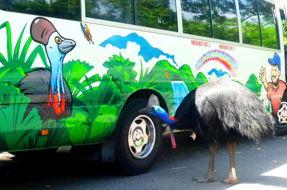 Atherton Tablelands: Lakes, Waterfalls, Rainforest Day Tour - Frequently Asked Questions