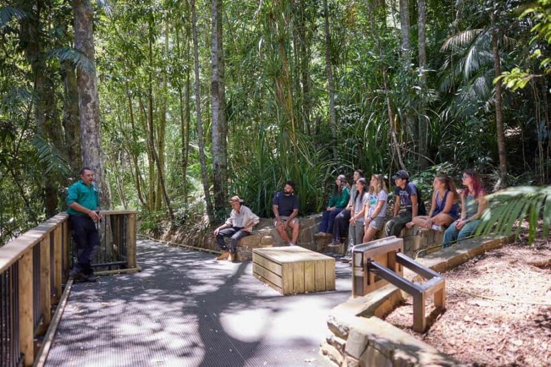 Atherton: Yidinji Explorer Tour with Fig Tree & Lake Barrine - Transportation, Price, and Practicalities