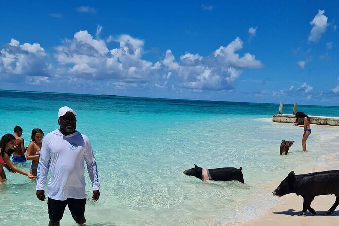 Athol Island Swimming Pigs Half-Day Boat Tour with Lunch - What the Reviews Say