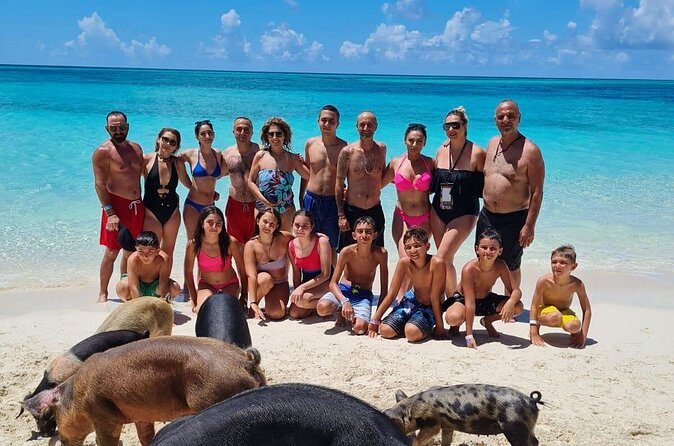 Athol Island Swimming Pigs Half-Day Boat Tour with Lunch - FAQ