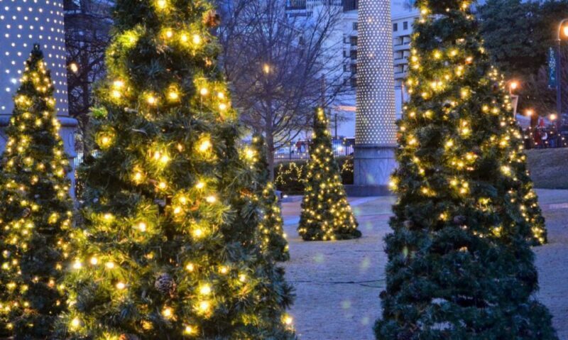Atlanta: Christmas Private Walking Tour - Practical Considerations