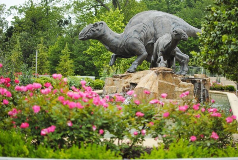 Atlanta CityPASS®: Save up to 49% at 5 Top Attractions - Fernbank Museum of Natural History: Natural Wonders and Outdoor Adventures