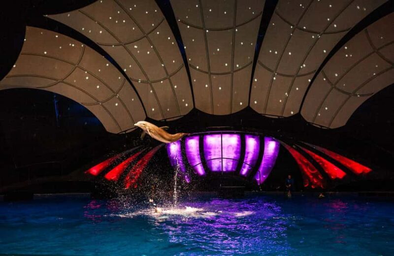 Atlanta: Georgia Aquarium Skip-the-Box-Office Entry Ticket - Key Points