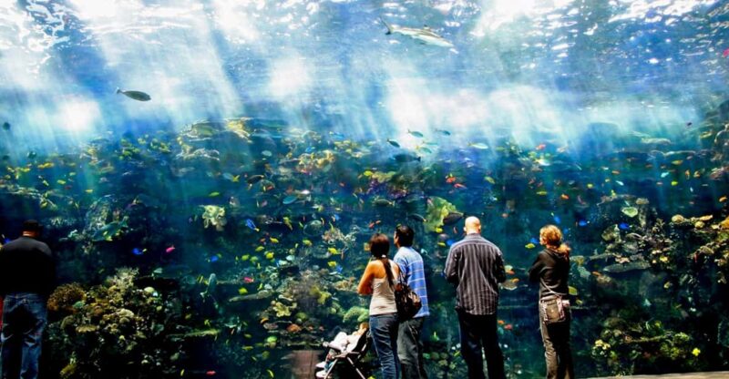 Atlanta: Georgia Aquarium Skip-the-Box-Office Entry Ticket - Visitor Information