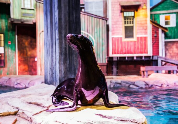 Atlanta: Georgia Aquarium Skip-the-Box-Office Entry Ticket - Food and Beverages Policy