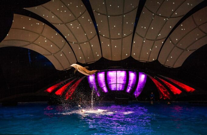 Atlanta: Georgia Aquarium Skip-the-Box-Office Entry Ticket - Frequently Asked Questions