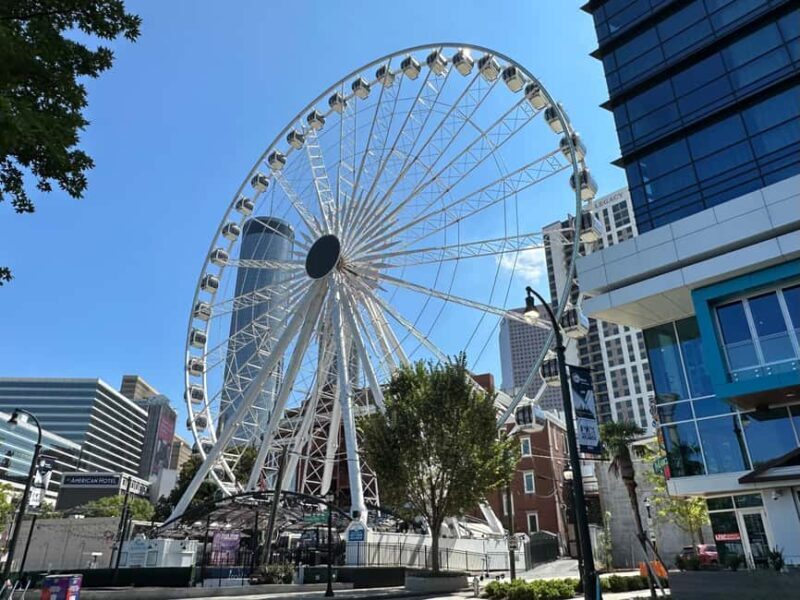 Atlanta: Must-See Sights of Atlanta Private Tour - Why Choose This Tour?