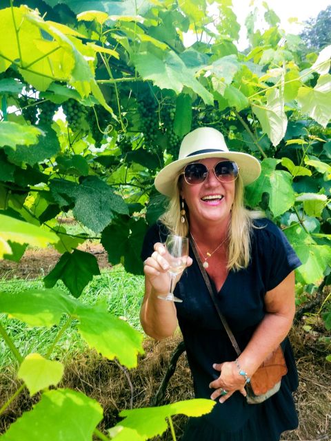 Atlanta Pickups: North Georgia Wine Country 3 Vineyard Tour - Unique Flavors of the Region