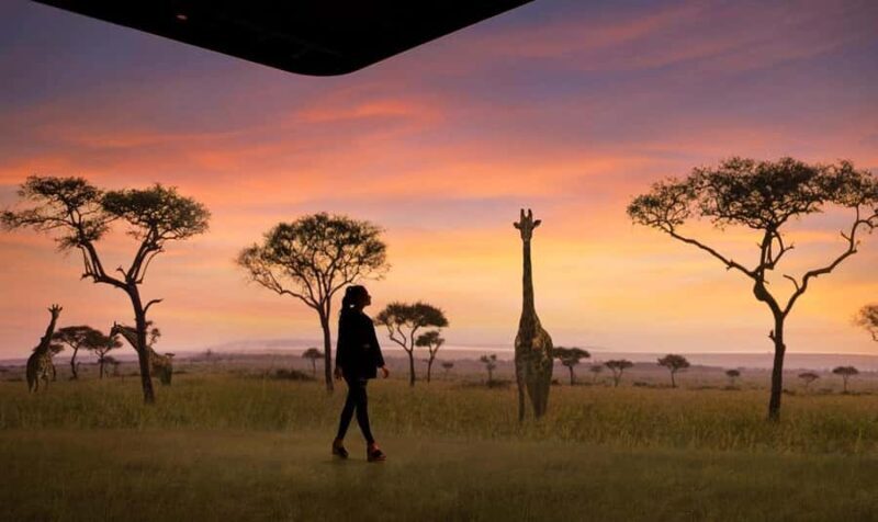 Atlanta: The Illuminarium Day Pass - The Setting and Atmosphere