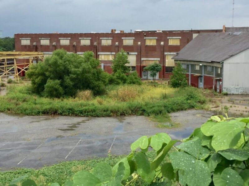 Atlanta: 'The Walking Dead' Film Locations Private Tours - Why This Tour Works for You