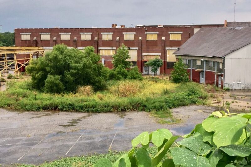 Atlanta: 'The Walking Dead' VIP Private Tour - Key Points