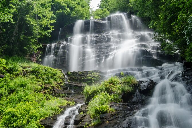 Atlanta to Amicalola Falls Tour Review - The Sum Up