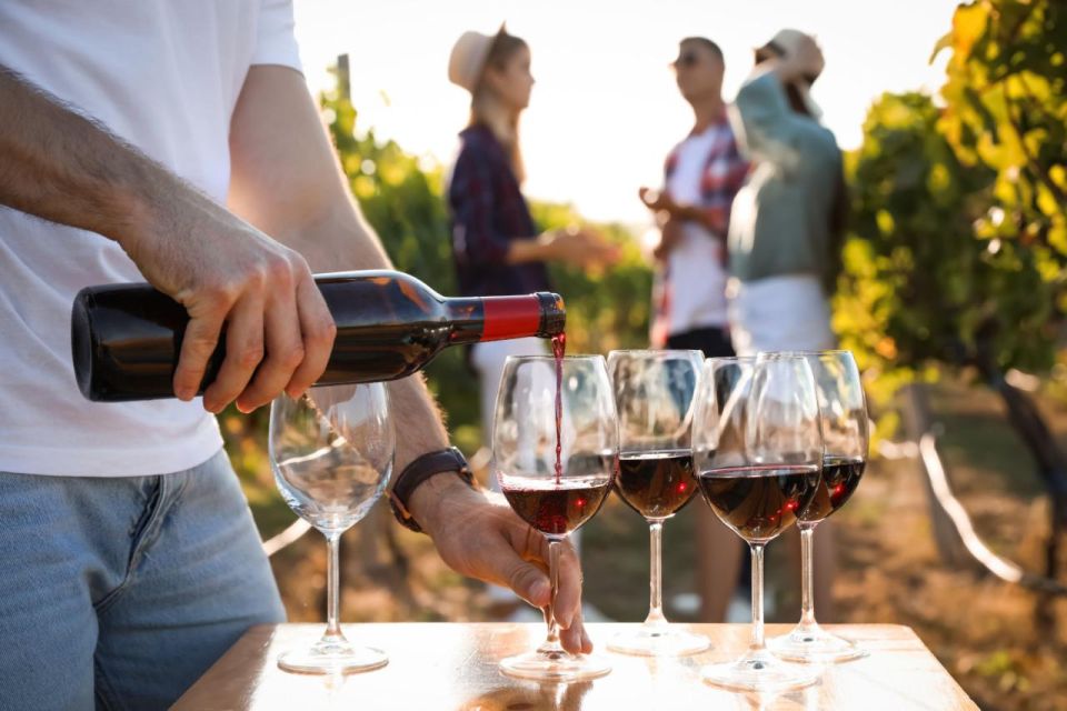 Atlanta Vineyards and Wines Full-Day Tour - Discovering Winemaking Secrets