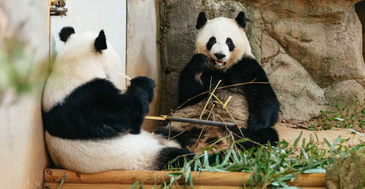 Atlanta: Zoo Atlanta General Admission Ticket - Facilities and Hours