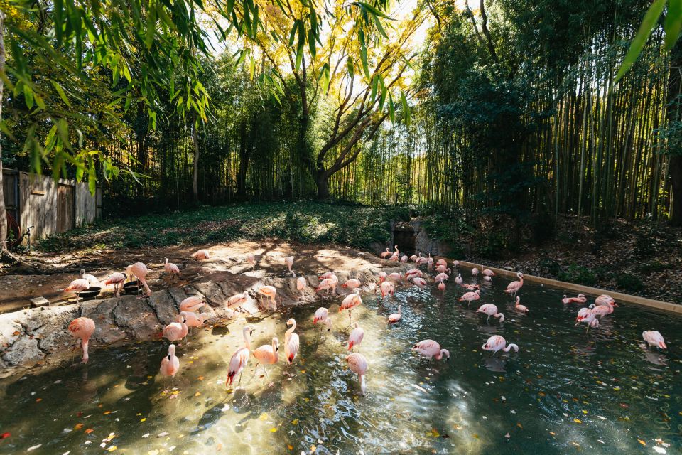 Atlanta: Zoo Atlanta General Admission Ticket - Wildlife Presentations and Activities