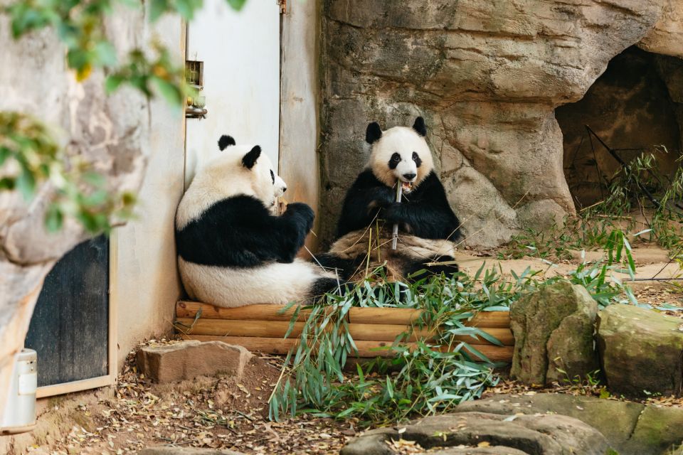 Atlanta: Zoo Atlanta General Admission Ticket - Frequently Asked Questions