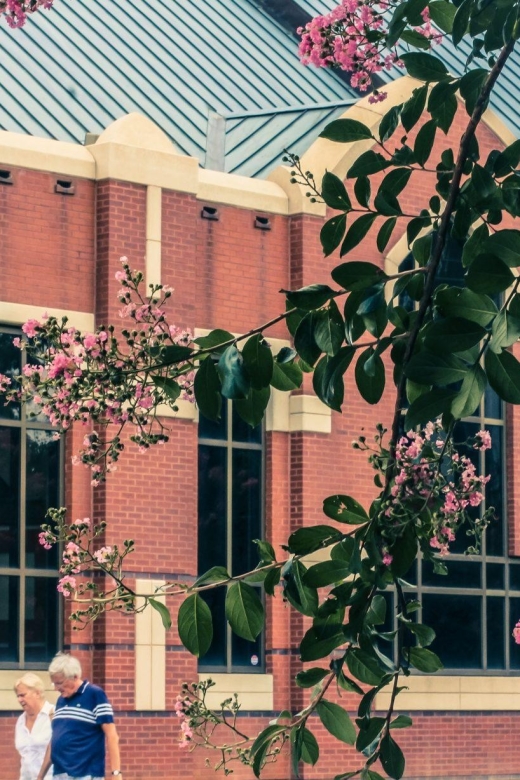 Atlanta's Best and Historic Treasures – Private Walking Tour - Visiting the Jackson Street Bridge