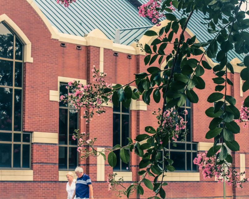 Atlanta's Best and Historic Treasures – Private Walking Tour - Experiencing The King Center