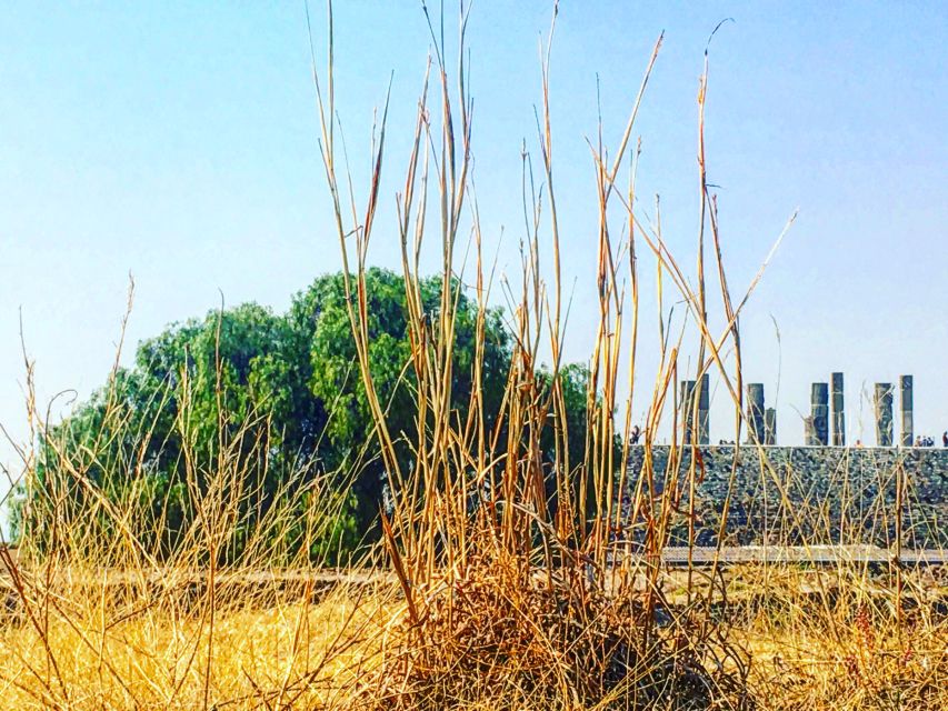 Atlantes of Tula From Mexico City - English Language Tour Guide