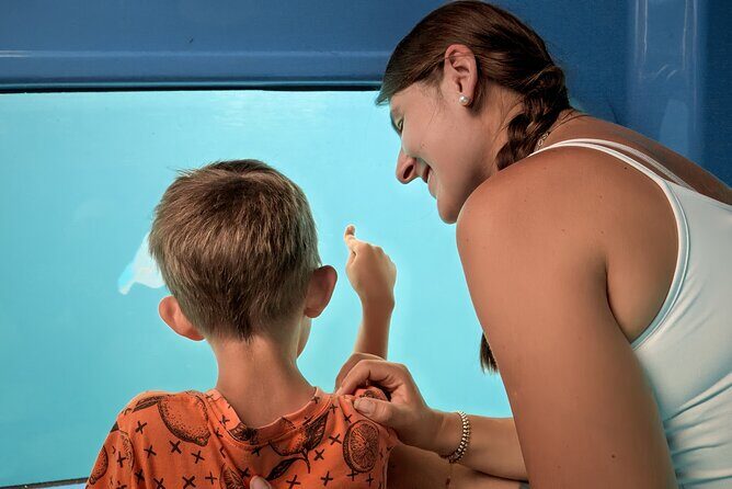 Atlantis Submarine Private Tour in Bridgetown - Key Points