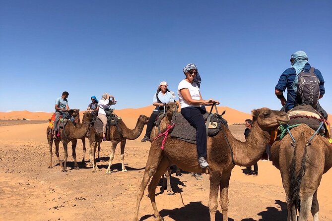 Atlas and Sahara From Marrakech to Marrakech - 5 Days - Daily Itinerary Overview