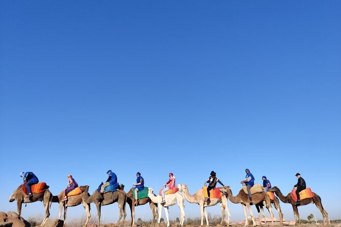 Atlas Excursion From Marrakech - Inclusion and Logistics