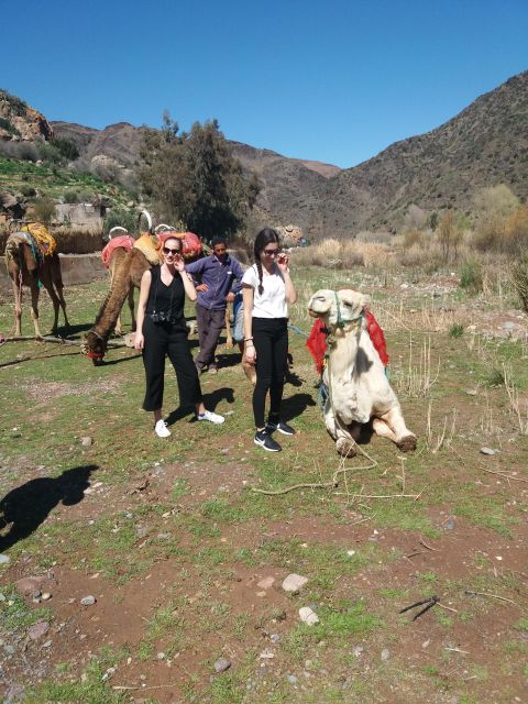 Atlas Mountain and Berber Villages Day Trip - Immersive Activities