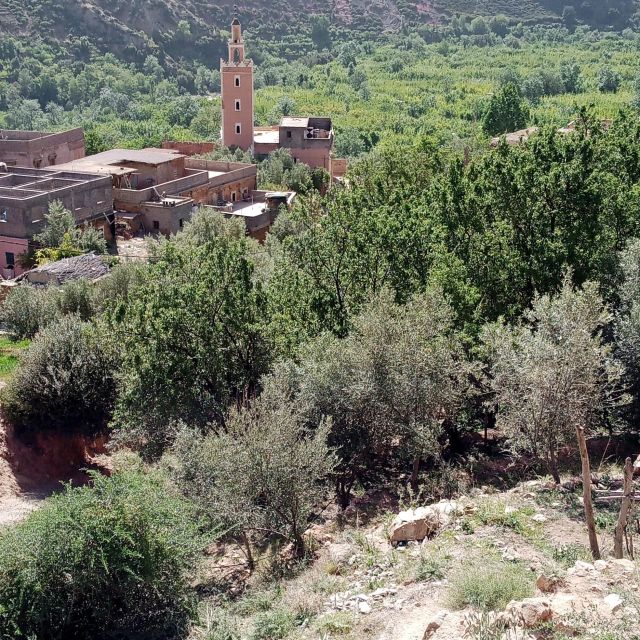Atlas Mountain and Berber Villages Day Trip - Frequently Asked Questions