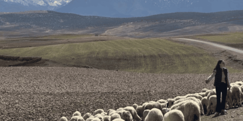 Atlas Mountains 4-Day Hike - Itinerary Highlights