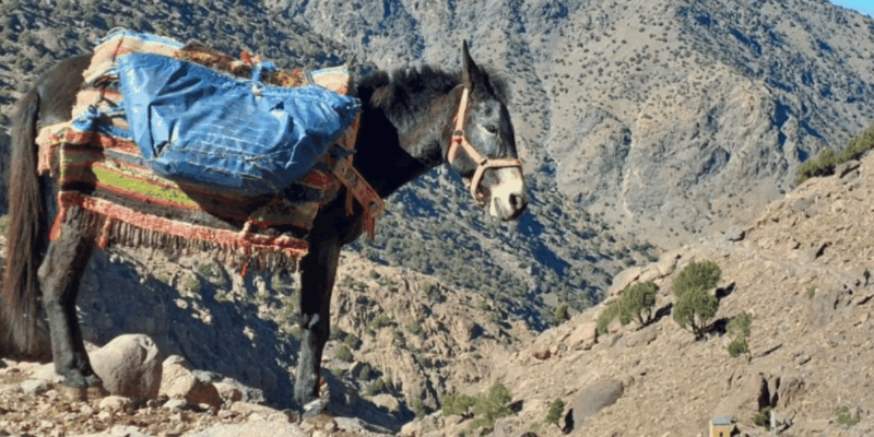 Atlas Mountains 4-Day Hike - Accommodation and Amenities