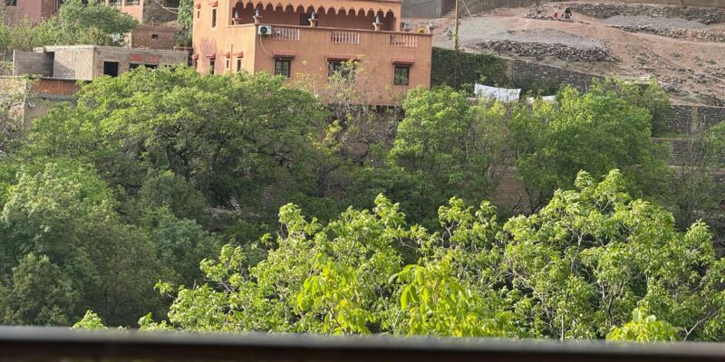 Atlas Mountains & Agafay Desert Dinner: A Majestic Journey - Good To Know