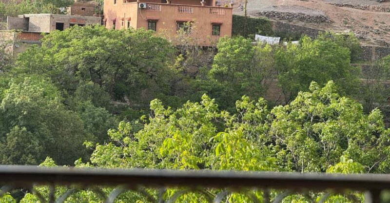 Atlas Mountains & Agafay Desert Dinner: A Majestic Journey - Discovering Berber Heritage