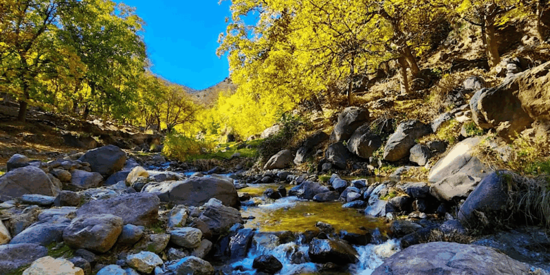 Atlas Mountains & Agafay Desert Dinner: A Majestic Journey - Taking in Local Culture