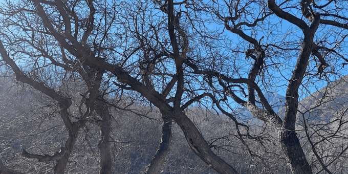 Atlas Mountains & Agafay Desert Dinner: A Majestic Journey - Preparing for the Journey