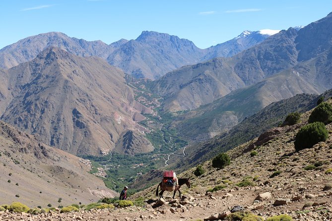 Atlas Mountains and 4 Valleys Private Tour From Marrakech - Accessibility Information