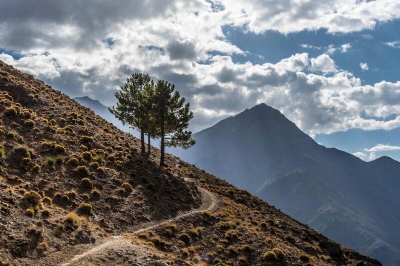 Atlas Mountains and the 4 Valleys Departing From Marrakech - Meeting Point and Directions