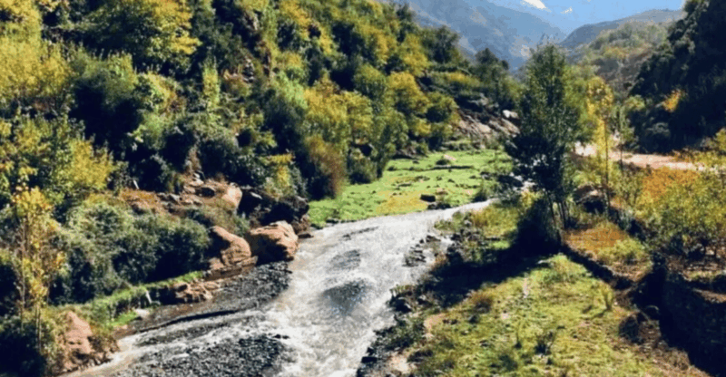 Atlas Mountains Day Trip & Camel Ride - Highlights of the Imlil Valley Exploration