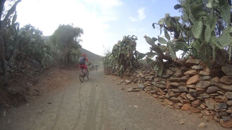 Atlas Mountains E-Bike Tour - 2 Days - Itinerary: Day 1