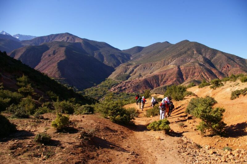 Atlas Mountains: Ijoukak and 4 Valleys With Camel Ride - Savoring Seasonal Delights With Locals