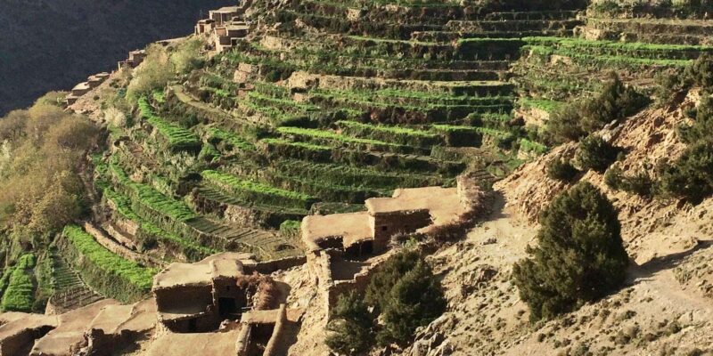 Atlas Mountains Trek 4 Days - Whats Included