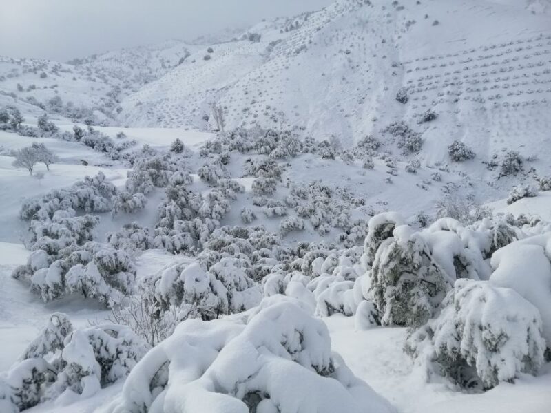 Atlas Mountains Trek Azzaden Valley And Imlil 2 Days - Trek Overview and Pricing