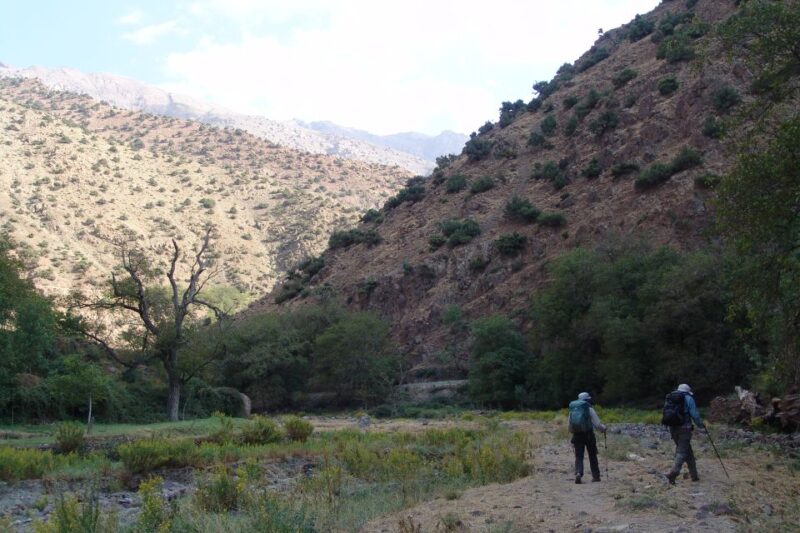 Atlas Peaks and Valleys of 5 Days - Accommodation and Meals